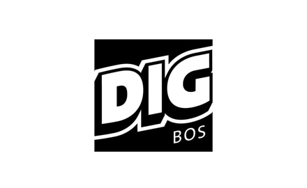 DigBoston
